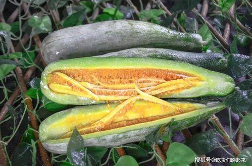 甘肃籍网红吃瓜,揭秘瓜界风云，品味家乡味道  第1张